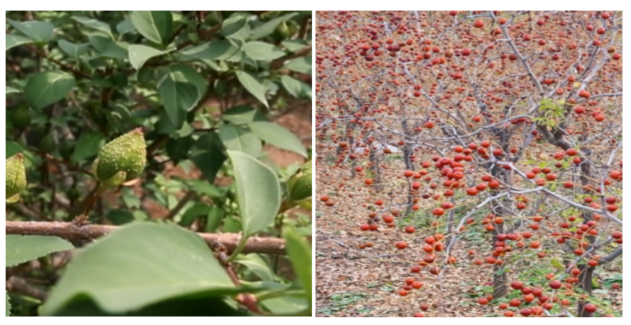 圖片關鍵詞 圖片關鍵詞